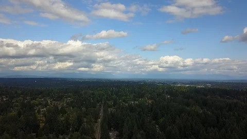 Forest Drone View Stock Footage 92490326