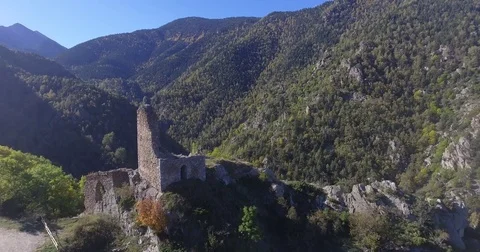 Forest during autumn Stock-Footage 81430666