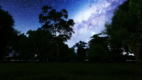 Forest during nighttime, sky full of stars, 4K Vidéo 167882433