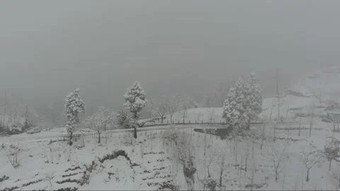 Forest during snowfall, aerial view Stock Footage 161339543