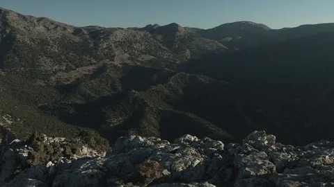 Forest during Sunrise Stock Footage 75958050