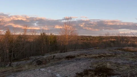 Forest During Sunset Time Lapse Muskoka, Ontario, Canada. Vídeos de archivo 77083351