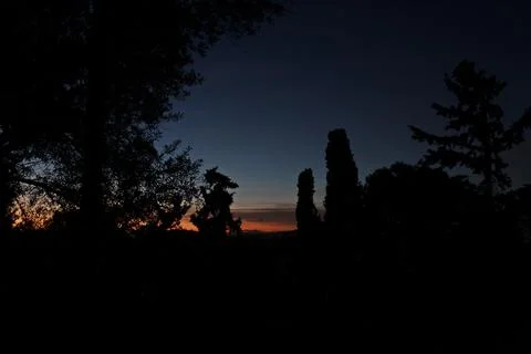 In the forest at dusk Stock Photos