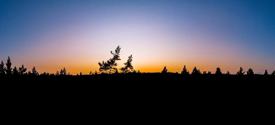 Forest in early fall Stock Photos