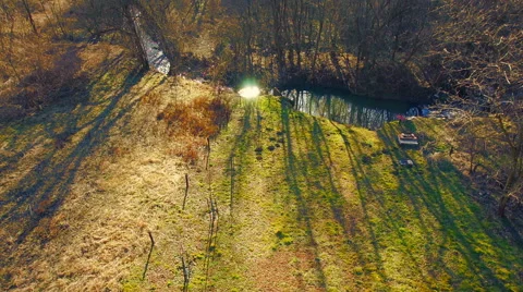 Forest in early spring aerial Stock Footage 47534620