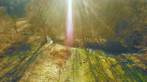 Forest in early spring aerial slow motion Stock Footage 47533579
