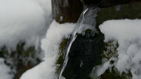 Forest eco water spring, close up winter landscape Stock Footage 258296540