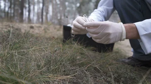 In the forest, an ecologist takes samples of plants and puts them in a test tube Video stock 131516476