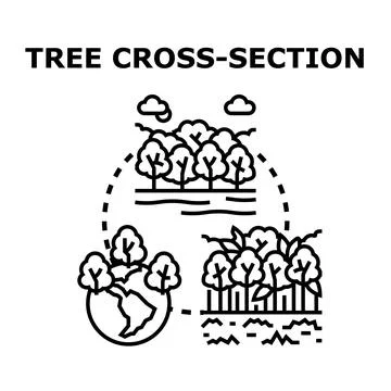 Forest ecosystem earth protection tree cross section concept Stock Illustration