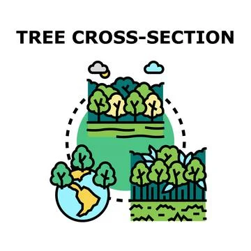 Forest ecosystem earth protection tree cross section concept Stock Illustration