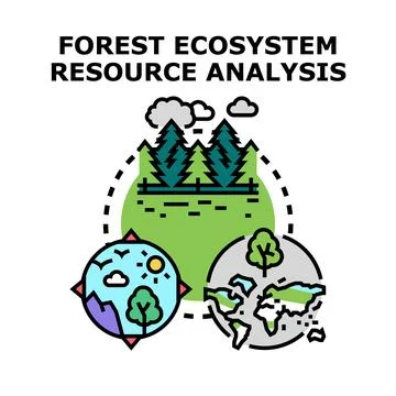 Forest ecosystem resource analysis researching environmental sustainability Stock Illustration