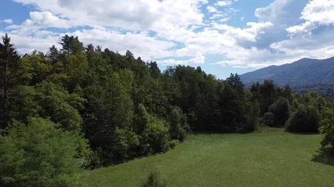 Forest Edge And Fields Stock Footage 244860509