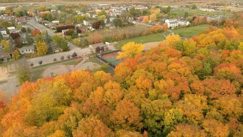 Forest edge in fall with city park located next to it viewed by flying drone Stock Footage 119190202