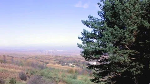 Forest edge on the hill Stock Footage 43100072