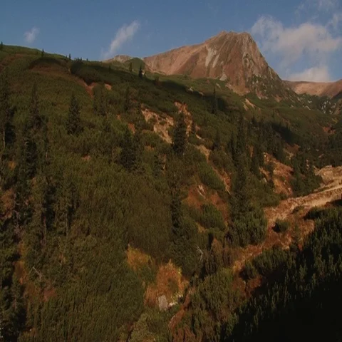 Forest on the edge of the mountains Stock Footage 69519803