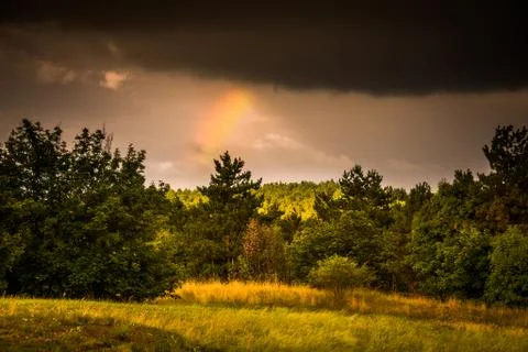 Forest edge with rainbow Stock Photos