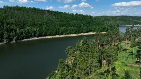 Forest on the edge of the shore, close to the  water dam, South Moravia, Czechia Stock Footage 228435575