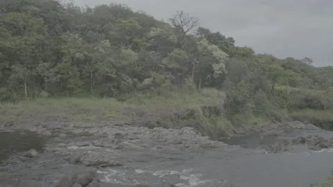 Forest on the edge of a waterfall in Hawaii Video stock 201569176