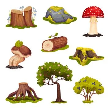 Forest Elements with Mossy Stump, Mushrooms and Trees Vector Set Stock Illustration