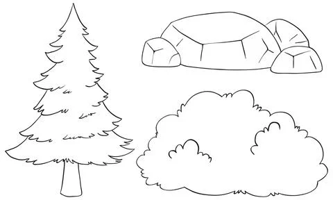 Forest Elements Vector Illustration Set Illustrazione stock