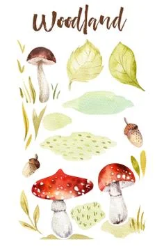 Forest elements witn mushrooms, branches, grassl for kindergarten, isolated 스톡 일러스트