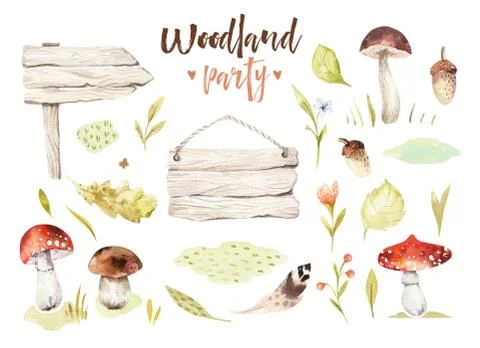 Forest elements witn mushrooms, branches, grassl for kindergarten, isolated Stock Illustration