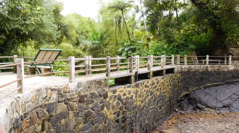 Forest empty natural pool  under repair Stock Footage 24686923