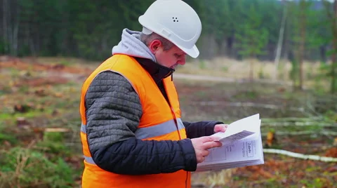 Forest engineer destroying sensitive documents in the forest Stock Footage 44873828