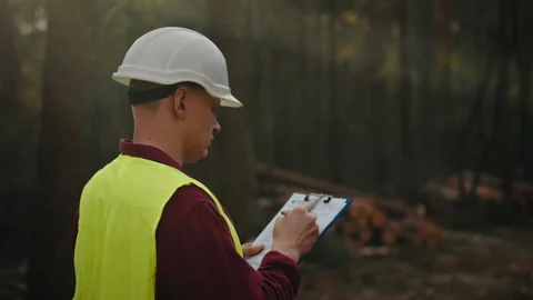 In the forest, an engineer managing a team of lumberjacks writes down a repo Stock Footage 272144259