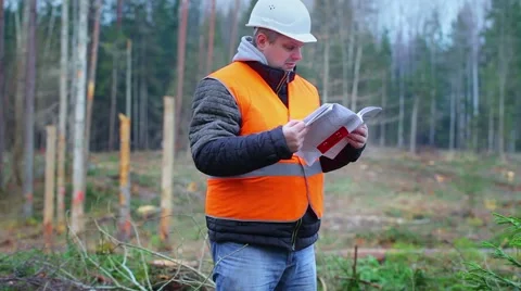 Forest engineer reading documents in the forest Stock Footage 44873786
