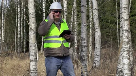Forest engineer talking on cell phone in birch grove Stock Footage 48143037