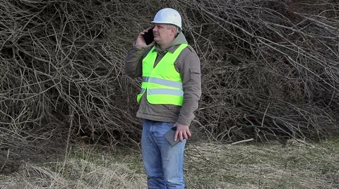 Forest engineer talking on cell phone near pile of twigs Stock Footage 49311334