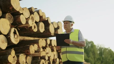 Forest engineer in white helmet with paper bag in his hands checks quality of Stock Footage 242624960