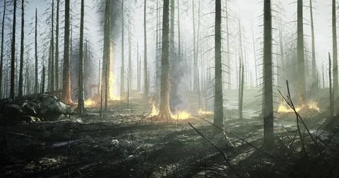 Forest engulfed in flames during a wildfire in the early morning light Stock Illustration