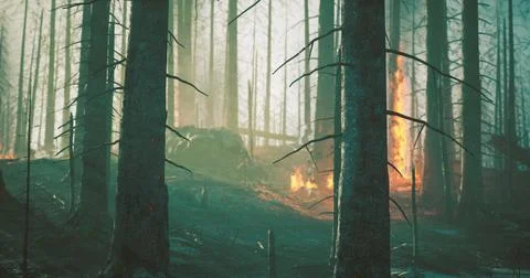 Forest engulfed in flames showcasing the aftermath of a wildfire event Stock Illustration