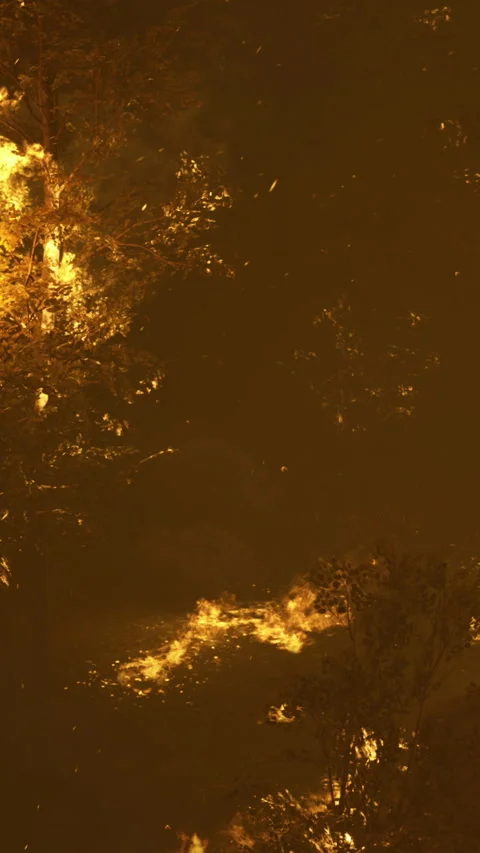 Forest engulfed in vivid flames during a fierce night fire event Stock Footage 334255203