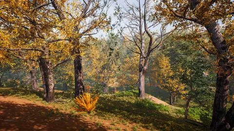 Forest environment in autumn. 3d rendering Stock Illustration