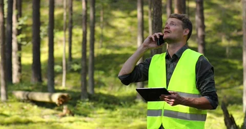 Forest evaluation and management - forestry engineer working with digital tab Stock Footage 137643258