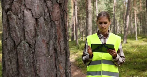 Forest evaluation, development and management - female forestry engineer or.. Stock Footage 247966574