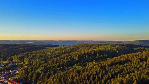 Forest at the evening with a clear Sky Foto stock
