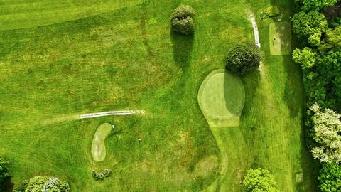 Forest that Extends Beyond - Tecumseh Golf Club - Syracuse, NY Foto stock