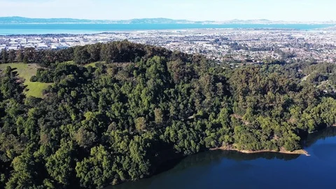 Forest on Fairmont Ridge Stock Footage 124694220