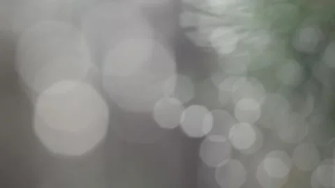Forest fairy tale Stock-Footage 143931396