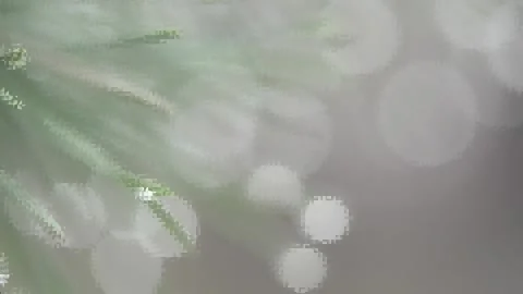 Forest fairy tale Stock-Footage 143944662