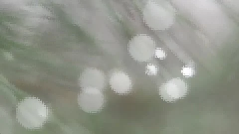 Forest fairy tale Stock-Footage 143944677