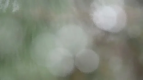 Forest fairy tale Stock-Footage 143944741