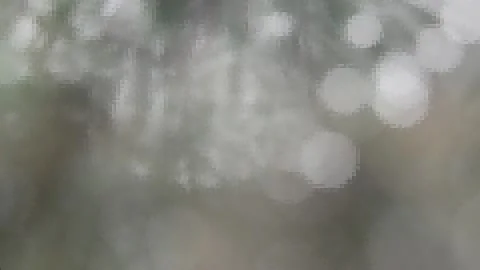 Forest fairy tale Stock-Footage 143944830