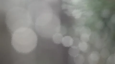 Forest fairy tale Stock-Footage 143944871