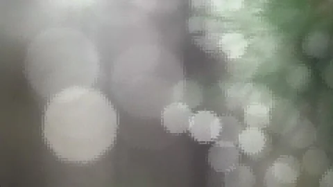 Forest fairy tale Stock-Footage 143944942