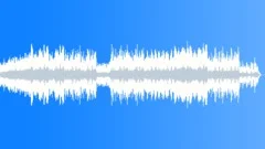 Forest Fairy Waltz Stock Music